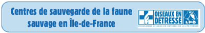 télécharger le document télécharger le document