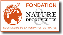 visiter le site de la fondation